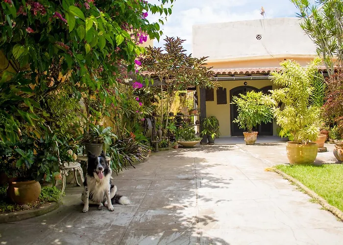 Suíte no jardim - Praia dos Anjos