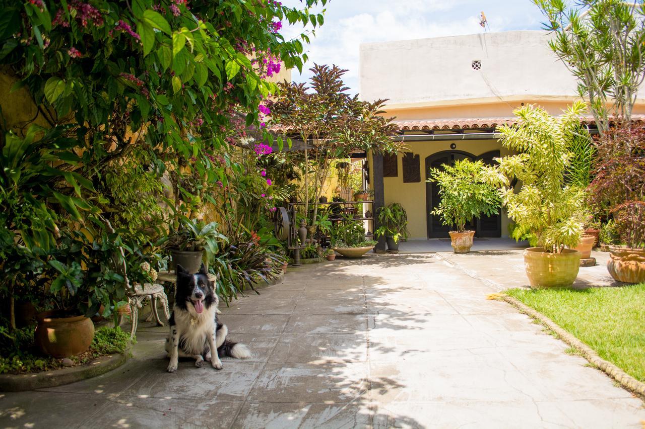 No Jardim - Dos Anjos Acomodação com café da manhã 