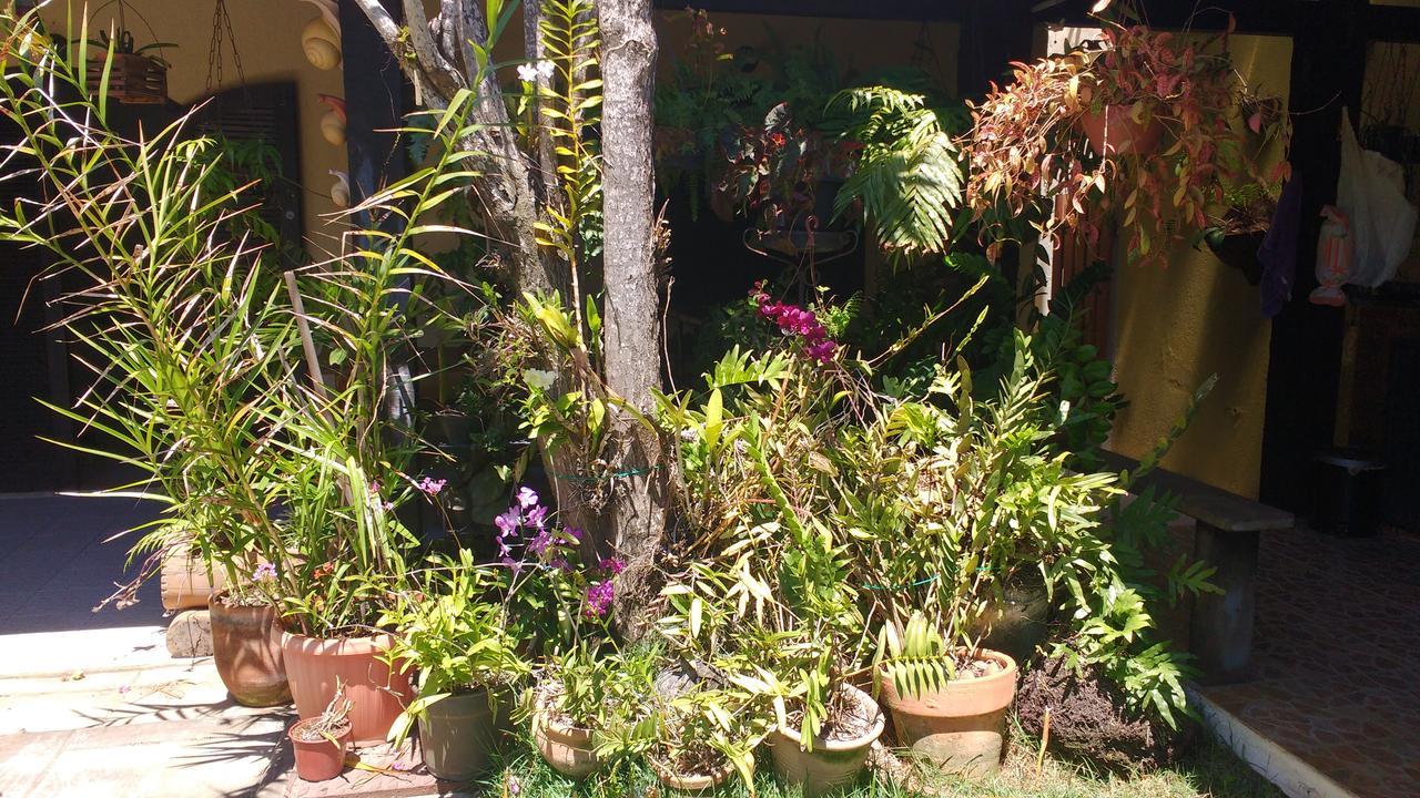No Jardim - Dos Anjos Acomodação com café da manhã  *