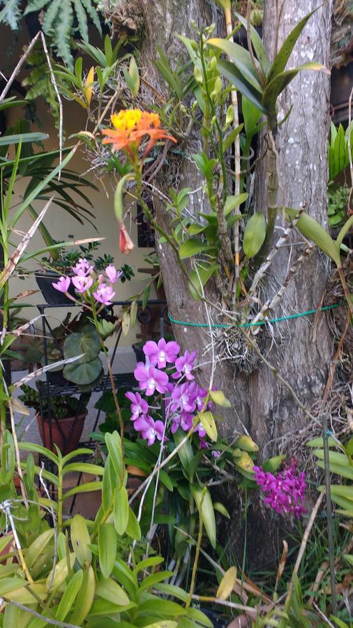 No Jardim - Dos Anjos